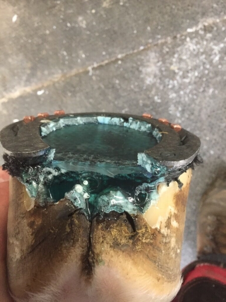 Клей для копыт Equimix HOOF PAD CS