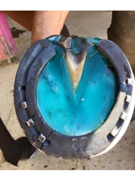 Клей для копыт Equimix HOOF PAD CS