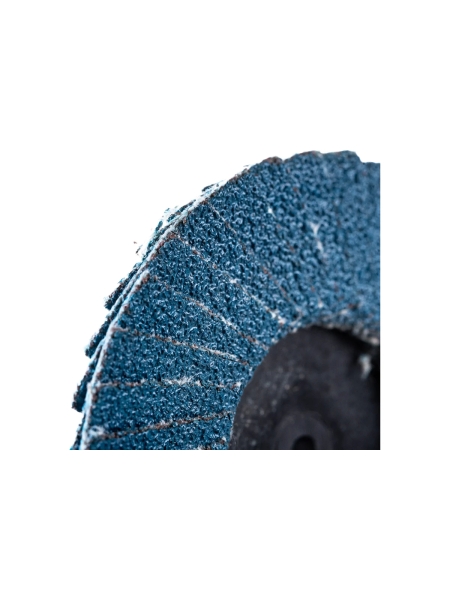 Круг лепестковый торцевой по металлу (50х22 мм; Р120; крепление Roloc) Русский Мастер РМ-70259