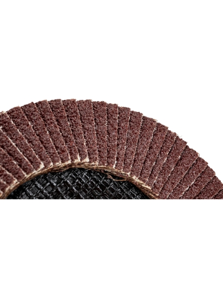 Круг лепестковый торцевой по металлу (125х22 мм; Р40) Русский Мастер РМ-90320