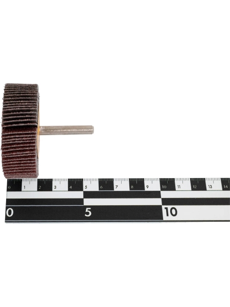 Круг шлифовальный лепестковый на шпильке (60х20х6 мм; P80) Русский Мастер РМ-53289