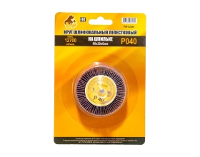 Круг шлифовальный лепестковый на шпильке (60х20х6 мм; P40) Русский Мастер РМ-53265