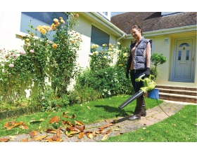 Воздуходувка Ryobi RBV3000CSV 5133002188