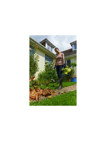 Воздуходувка Ryobi RBV3000CSV 5133002188