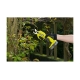 Аккумуляторный секатор Ryobi ONE+ RY18SCA-115P 5133005563