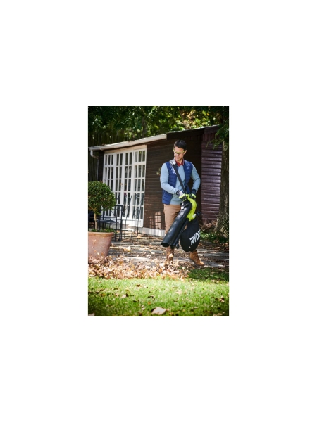 Садовый пылесос Ryobi RBV3000CESV 5133002190