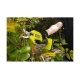 Аккумуляторный секатор Ryobi ONE+ RY18SCA-0 5133005024