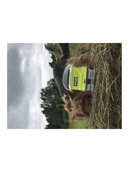 Аккумуляторный отпугиватель насекомых ONE+ Ryobi OBR1800 5133003730