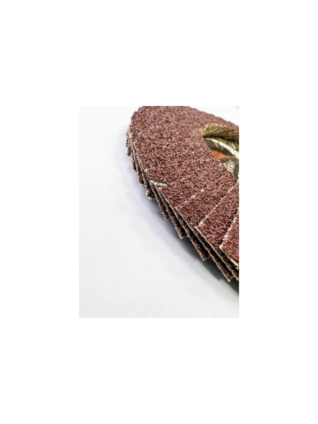 Лепестковый круг Tsunami КЛТ2 125x22 А60 (14А 25/Р60) PROF L D96100002P12560