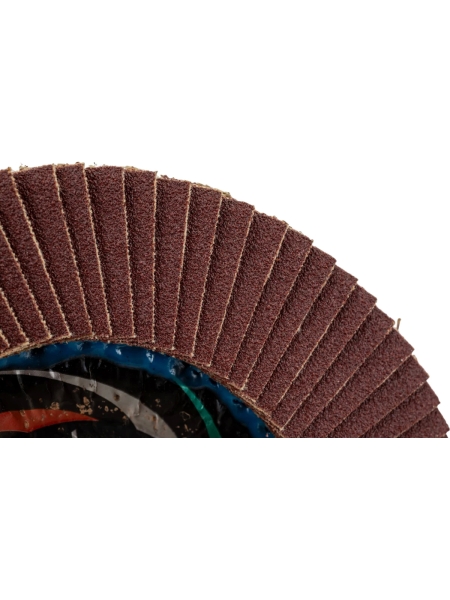 Круг лепестковый универсальный PROF (125х22 мм,  А100, 14А) Tsunami КЛТ1 D96100000P12581