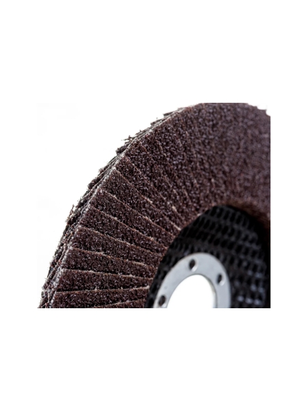 Круг лепестковый универсальный (125х22 мм,  А80, 14А) Tsunami КЛТ1 D96100000012580