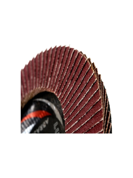 Круг лепестковый универсальный PROF (125х22 мм,  А120, 14А) D96100000P12582