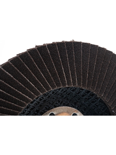 Круг лепестковый универсальный (150х22 мм,  А100, 14А) Tsunami КЛТ1 D96100000015081