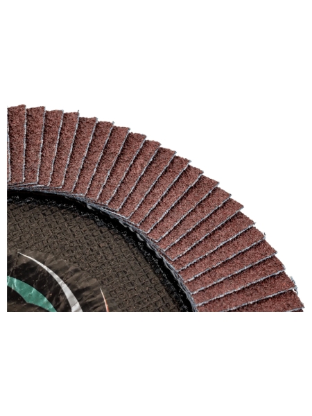 Круг лепестковый универсальный PROF (180х22 мм,  А40, 14А) Tsunami КЛТ1 D96100000P18040