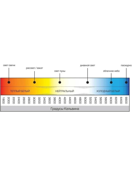 Противоударный светодиодный светильник WIEDERKRAFT МОБИЛ 36V/5