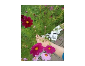 Универсальный секатор 200 мм YATO YT-8790